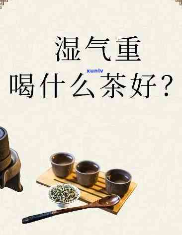 湿气重的人群适合饮用哪些茶叶？全网最全解答！