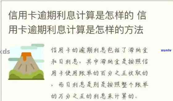 最新！银行信用卡逾期利率计算标准及政策全解析