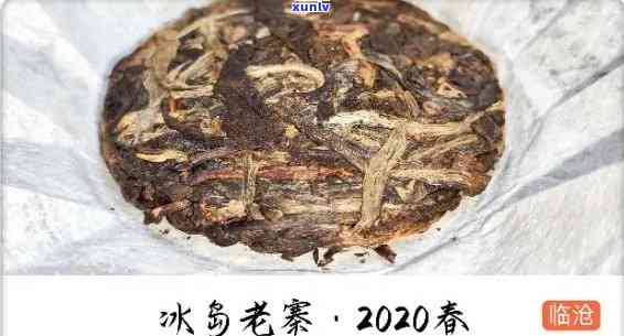 500年冰岛老寨单株茶的价格与产量分析：2020春茶价格、口感如何？