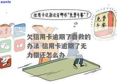 信用卡逾期但无力偿还：如何有效自救？