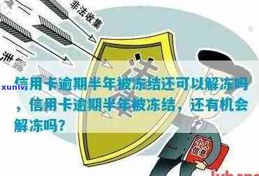 欠信用卡会不会被冻结？影响及解冻 *** 全解析