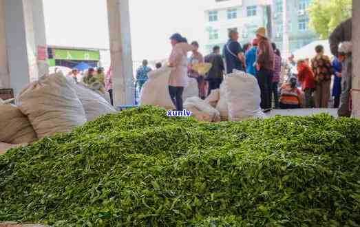 天门哪里有卖茶叶的市场，寻找好茶？来天门茶叶场！