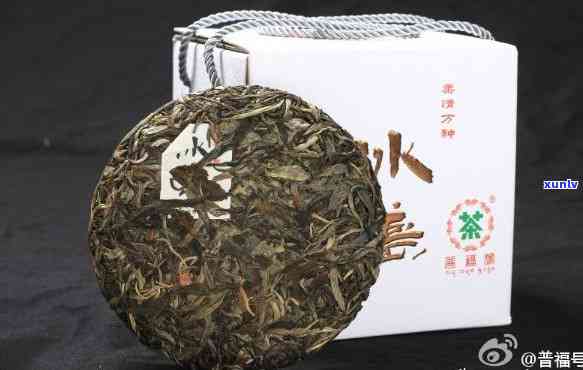 明星火茶冰岛纯料-明星火茶厂冰岛