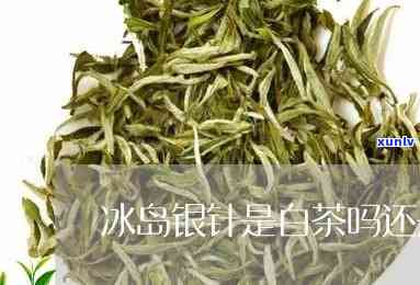 冰岛银芽是台地茶么-什么是冰岛茶