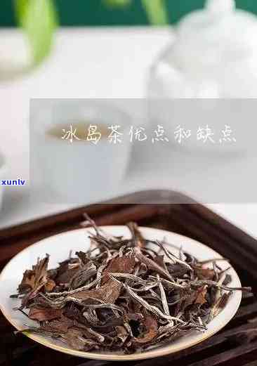 冰岛茶好还是版好-冰岛茶好还是版好喝