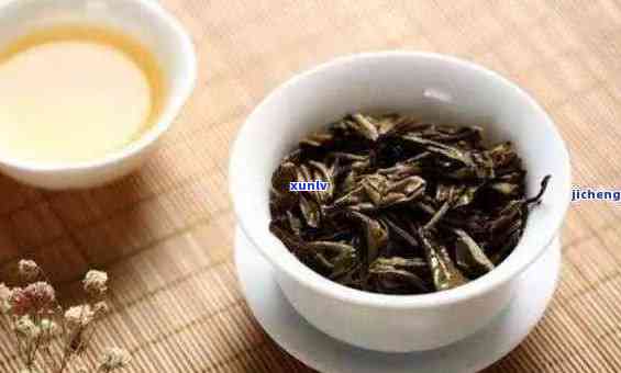 六月份的茶叶有什么特点，探索六月茶叶的独特特性与魅力