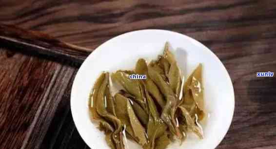 冰岛木生茶的特点，探索冰岛木生茶的独特魅力：特点解析