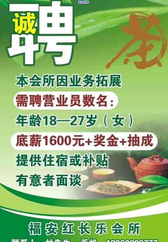 送什么茶叶好，日清凉首选，这些茶叶是你的不二之选！