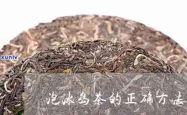 冰岛茶冲泡视频教程-冰岛茶冲泡视频教程全集