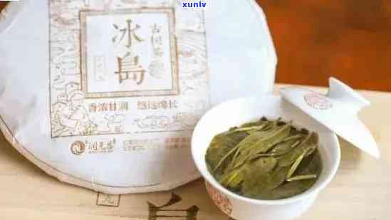 冰岛茶品种有哪些？顶级特征与推荐