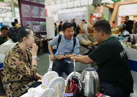 云南冰岛磨烈古树茶-磨烈茶和冰岛老寨茶的区别