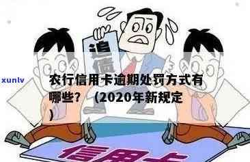 2020年农行信用卡逾期新法规，农行信用卡逾期新法规于2020年实：影响及应对策略