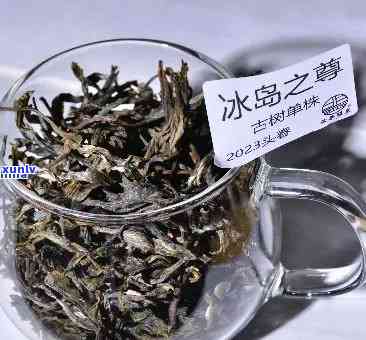 有没有比冰岛好的茶-有没有比冰岛好的茶叶