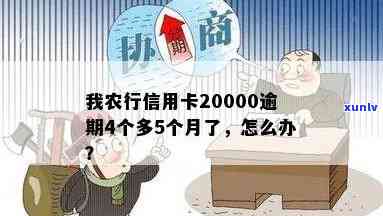 我农行信用卡20000逾期4个多5个月了，信用卡逾期警示：我农行信用卡已逾期4个多月，需尽快还款！