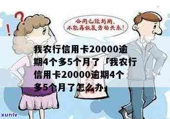 我农行信用卡20000逾期4个多5个月了，信用卡逾期警示：我农行信用卡已逾期4个多月，需尽快还款！