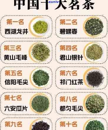 中国好喝的茶叶排名前5：顶级名茶全解析