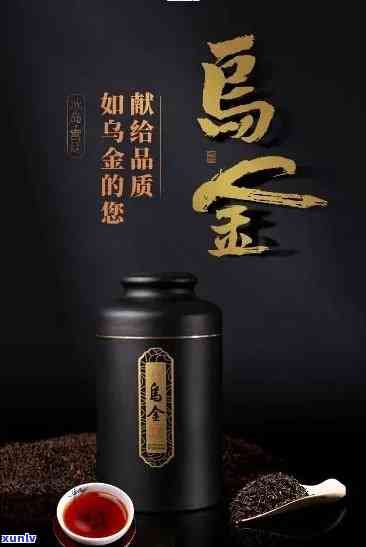 冰岛乌金熟茶多少钱一杯，探究冰岛乌金熟茶的价格：一杯要多少？