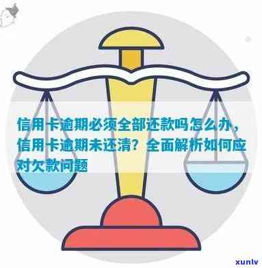 普洱茶才者：解析其品质、档次与价格，属于几线？