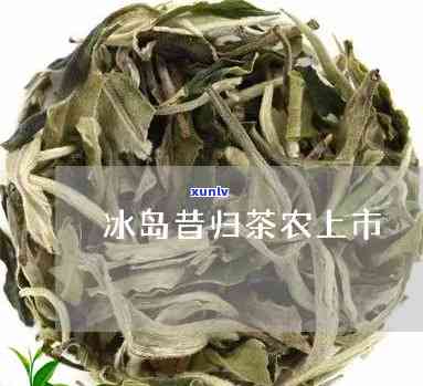 昔归茶属于冰岛几环-昔归 冰岛属于什么茶