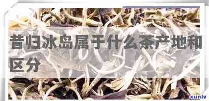 昔归茶属于冰岛几环-昔归 冰岛属于什么茶