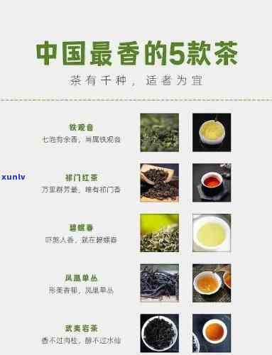 闻着香又好喝的茶叶品种与推荐