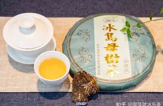 冰岛茶冬天可以喝吗-冰岛茶冬天可以喝吗