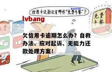 信用卡逾期怎么返还利息？详解逾期还款、自救 *** 与注意事项