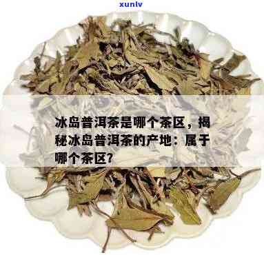 冰岛茶属于哪个茶区，探寻冰岛茶的起源：它属于哪个茶区？