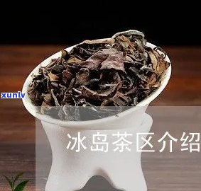 冰岛茶分多少个地区-冰岛茶分多少个地区和品种