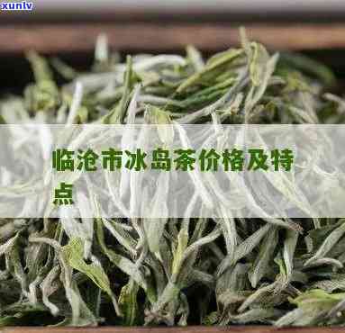 冰岛临沧的茶怎么样-临沧冰岛茶特点