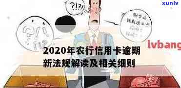 全面解析2020年农行信用卡逾期新法规