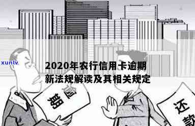 全面解析2020年农行信用卡逾期新法规