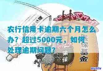 农行信用卡逾期60期-农行信用卡逾期60期怎么办