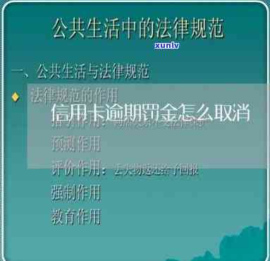 信用卡逾期罚金怎么停止-信用卡逾期罚金怎么停止缴纳