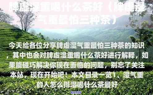 脾虚湿喝什么茶叶-脾虚湿喝茶叶水会不会加重湿气