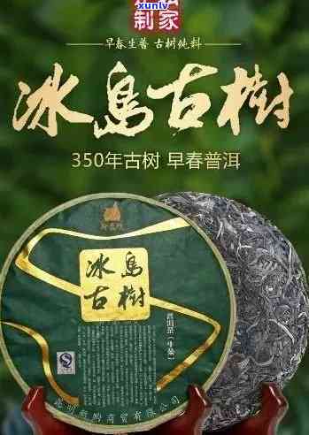 的冰岛古树茶价格，探寻冰岛古树茶的珍贵之处：揭秘价格与选购建议