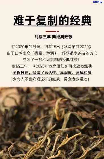 冰岛古树红茶什么价格更优？全网比价，一斤多少钱，是红茶还是绿茶？