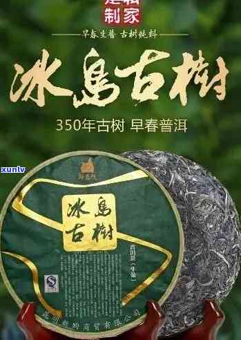 东方好礼冰岛古树茶-冰岛古树茶厂冰岛金奖怎样