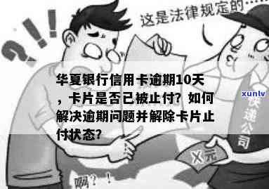 华信用卡逾期已止付怎么办，华信用卡逾期已止付：解决 *** 与建议