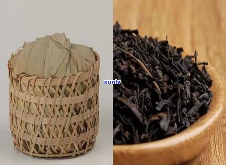 推荐几款好喝的茶叶品种，品味无穷：推荐几款口感独特的茶叶品种