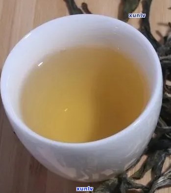 冰岛古树生茶的特点和功效：800年树龄深山生态古树茶的口感与价格探究