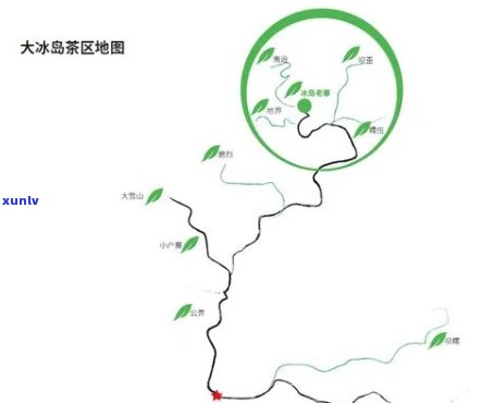 冰岛茶产区有哪些，探索冰岛茶的神秘之地：揭秘冰岛茶产区