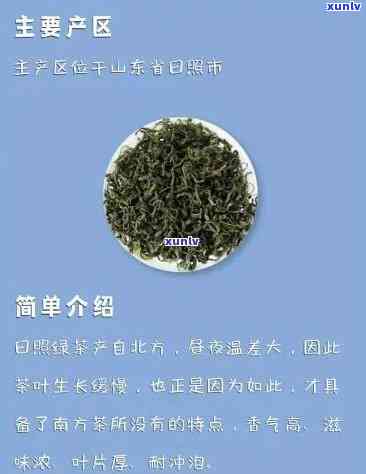 日照茶叶及价格查询，日照名茶价格一览，让您轻松选购优质茶叶！