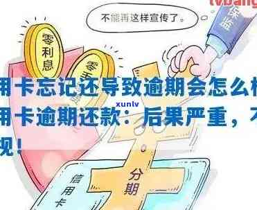 几十元信用卡逾期：影响及解决 *** 全解析