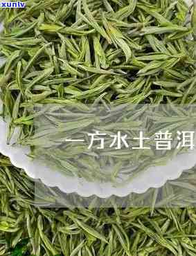 在水一方是什么茶叶-在水一方茶叶是什么茶