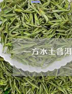 在水一方是什么茶叶-在水一方茶叶是什么茶