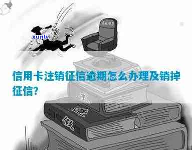 “翡翠斑鱼：种类、图片、价格及做法大全，与石斑鱼有何区别？”