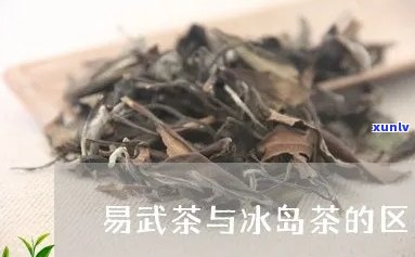 冰岛茶是易武种类么-冰岛茶是易武种类么吗