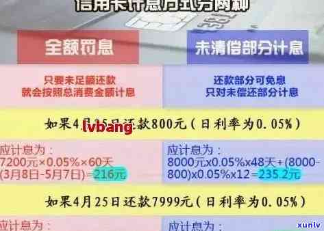 信用卡逾期费用利率是多少，了解信用卡逾期费用：利率计算与影响