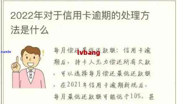 2022年信用卡逾期流程：政策、标准及自救办法全解析